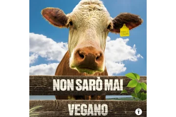 Non saro mai vegano - locandina